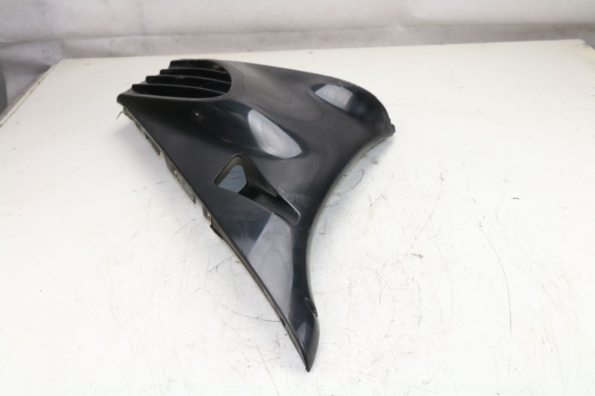 photo de CARENADO DELANTERO IZQUIERDO BMW K LT ABS 1100 (1990 - 1996)