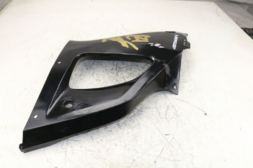 photo de CARENADO DELANTERO IZQUIERDO YAMAHA YZF R1 1000 (1998 - 1999)