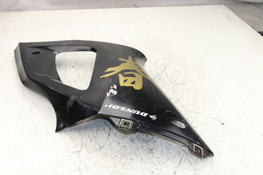 photo de CARENADO DELANTERO IZQUIERDO YAMAHA YZF R1 1000 (1998 - 1999)
