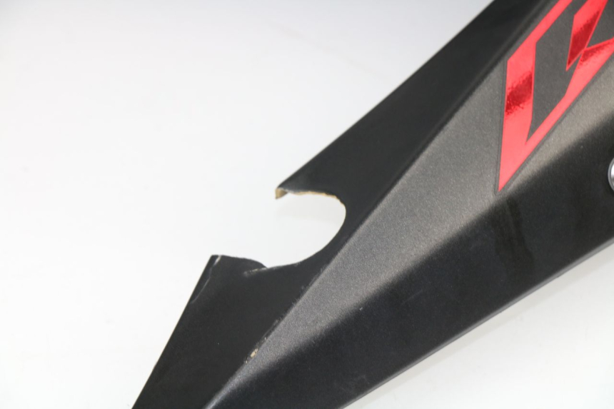 photo de CARENADO DELANTERO IZQUIERDO YAMAHA YZF R1 1000 (2002 - 2003)