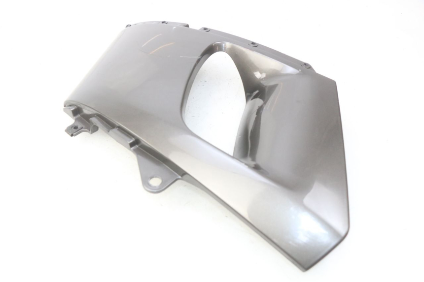 photo de FLANCO LATERAL DELANTERO IZQUIERDO KAWASAKI ZZR 600 (1995 - 2004)