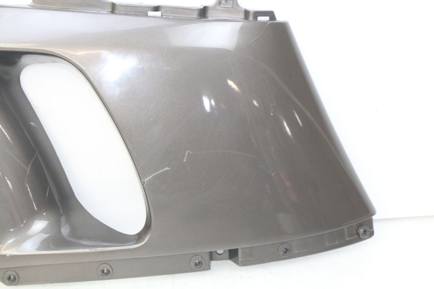 photo de FLANCO LATERAL DELANTERO IZQUIERDO KAWASAKI ZZR 600 (1995 - 2004)