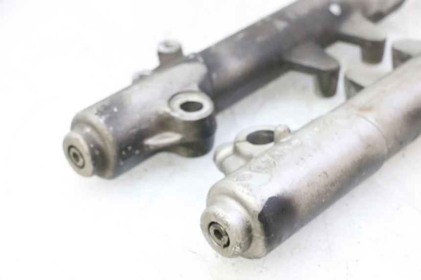 photo de BOTELLA HORQUILLA  PEUGEOT ELYSTAR 50 (2002 - 2014)