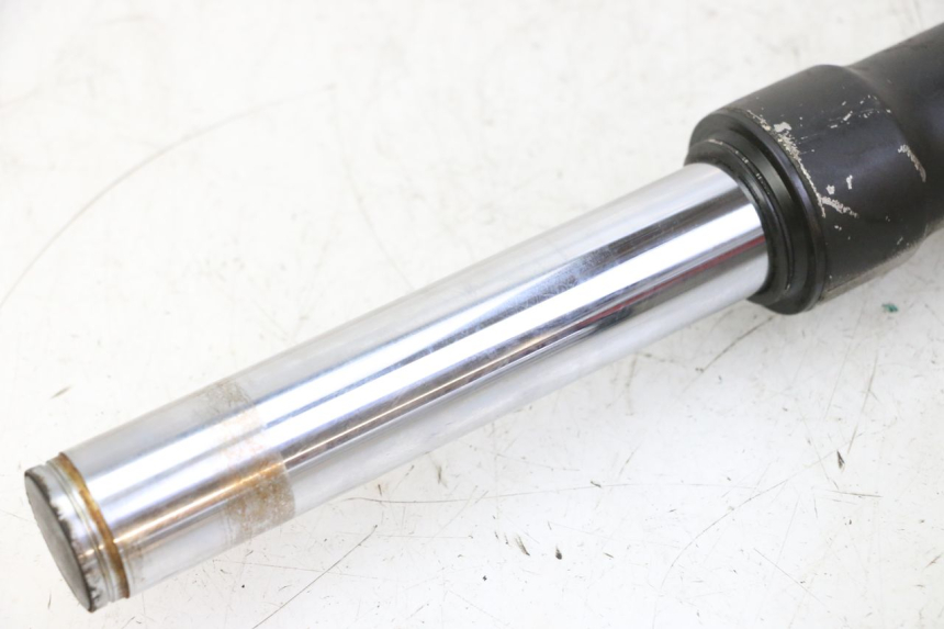 photo de BOTELLA HORQUILLA  PEUGEOT ELYSTAR 50 (2002 - 2014)