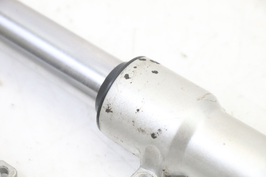photo de TUBO DE HORQUILLA PEUGEOT VIVACITY NEW 2T 50 (2008 - 2017)