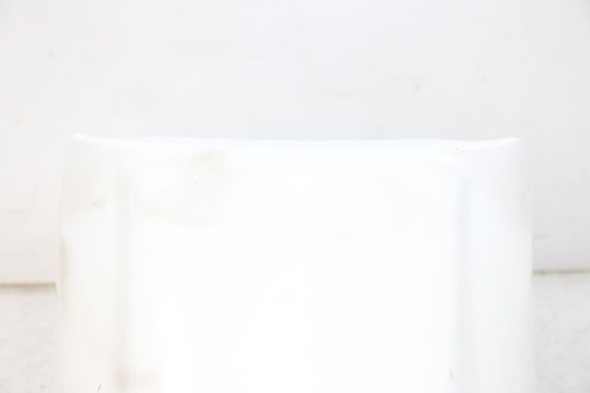 photo de GUARDABARROS DELANTERO PEUGEOT TWEET PRO EFI 4T 50 (2021 - 2022)