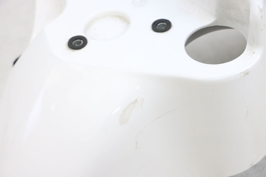 photo de GUARDABARROS DELANTERO PEUGEOT TWEET PRO EFI 4T 50 (2021 - 2022)