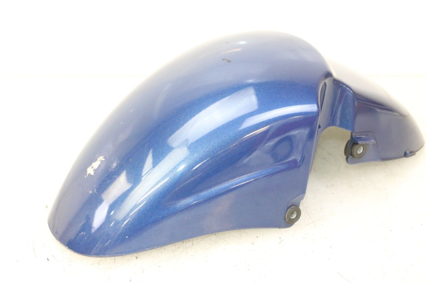 photo de GUARDABARROS DELANTERO PIAGGIO X9 EVOLUTION 125 (2003 - 2007)