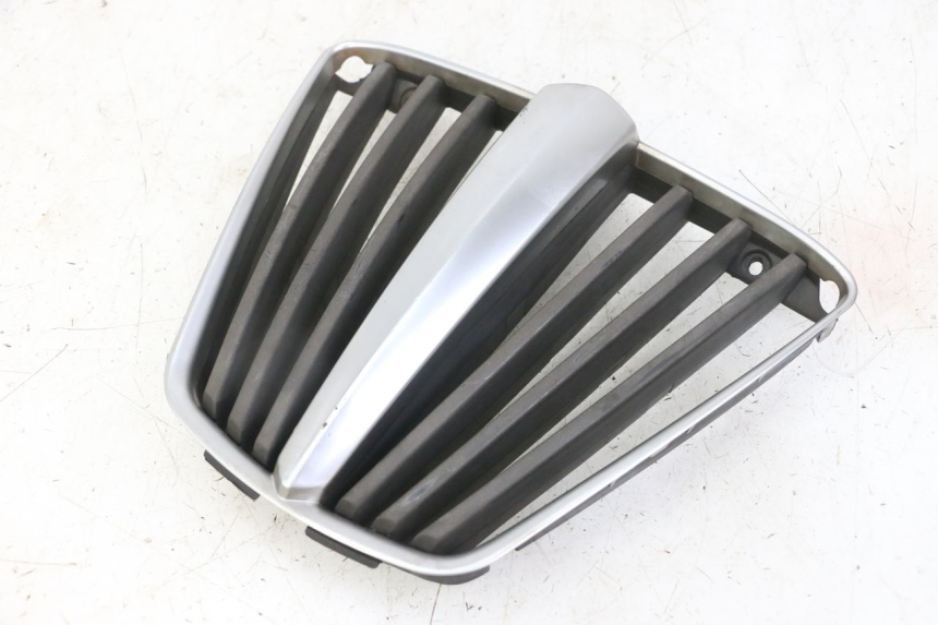 photo de REJILLA DEL RADIADOR PIAGGIO MP3 LT 400 (2007 - 2012)
