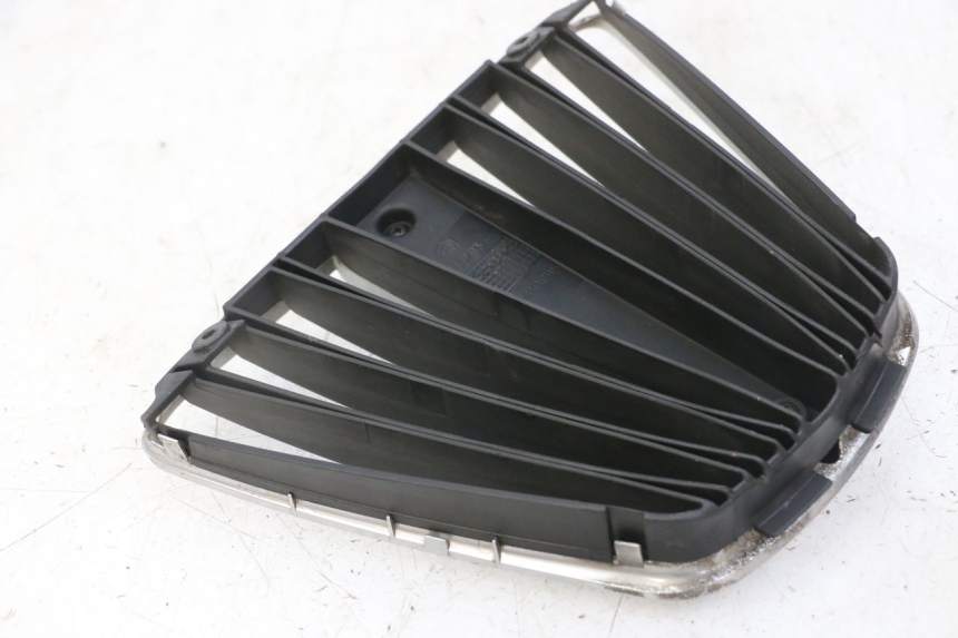 photo de REJILLA DEL RADIADOR PIAGGIO MP3 LT 400 (2007 - 2012)