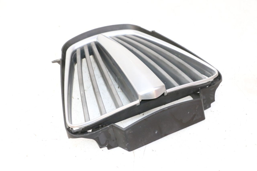 photo de RADIADOR CUBIERTA PIAGGIO MP3 RL 250 (2007 - 2010)