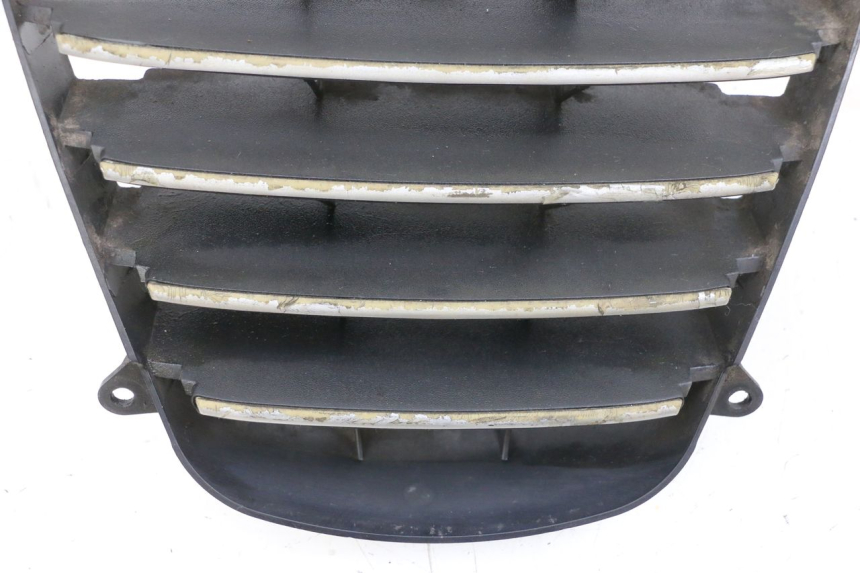 photo de REJILLA DEL RADIADOR PIAGGIO MP3 125 (2006 - 2014)