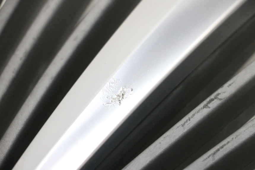 photo de RADIADOR CUBIERTA PIAGGIO MP3 RL 250 (2007 - 2010) - Vista general del producto