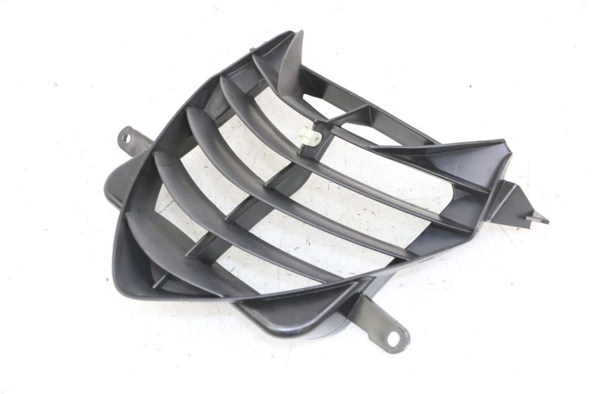 photo de RADIADOR CUBIERTA PEUGEOT SPEEDFIGHT 2 LC 50 (2000 - 2009)