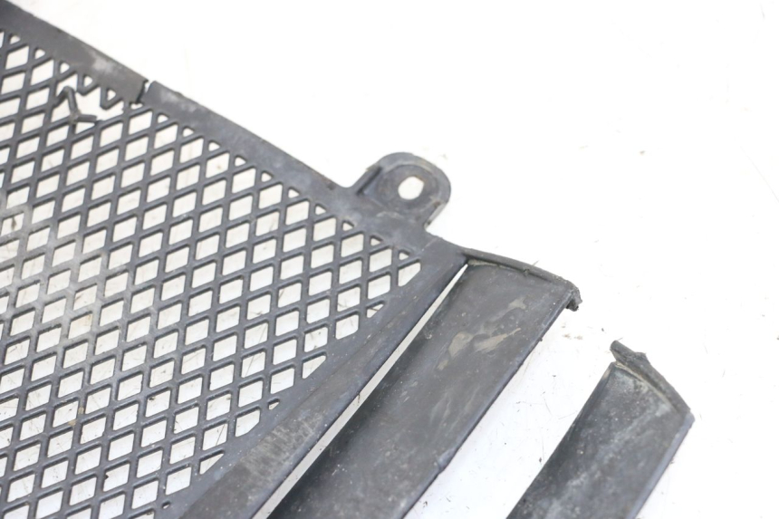 photo de RADIADOR CUBIERTA KTM SUPERENDURO R 950 (2005 - 2009)