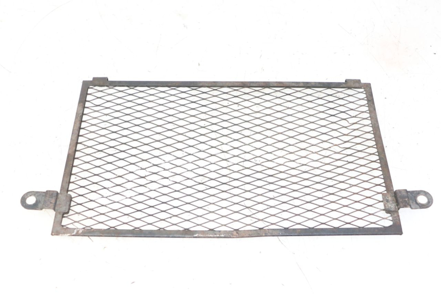 photo de REJILLA DEL RADIADOR YAMAHA TDM ABS 900 (2002 - 2014)