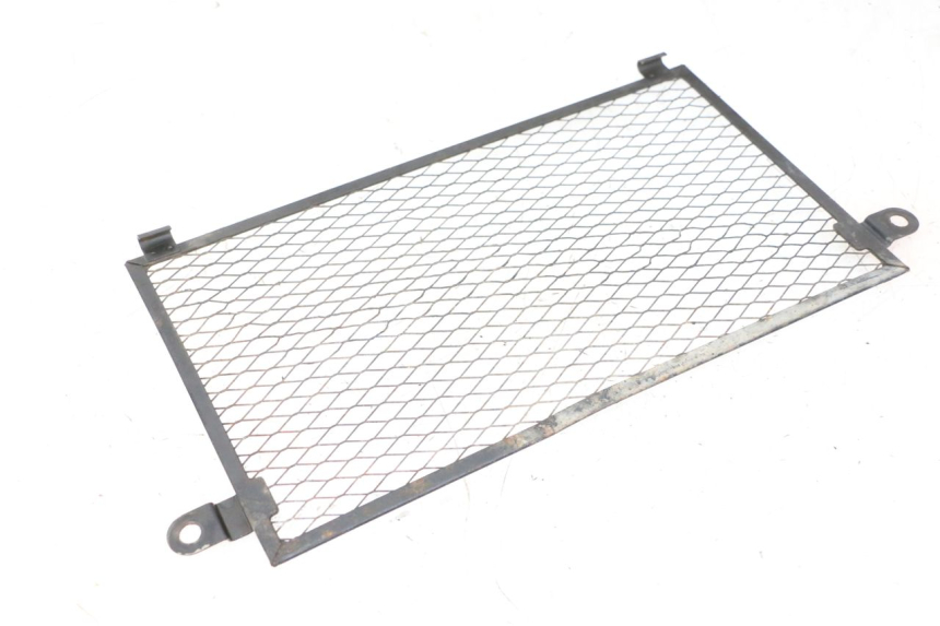 photo de REJILLA DEL RADIADOR YAMAHA TDM ABS 900 (2002 - 2014)