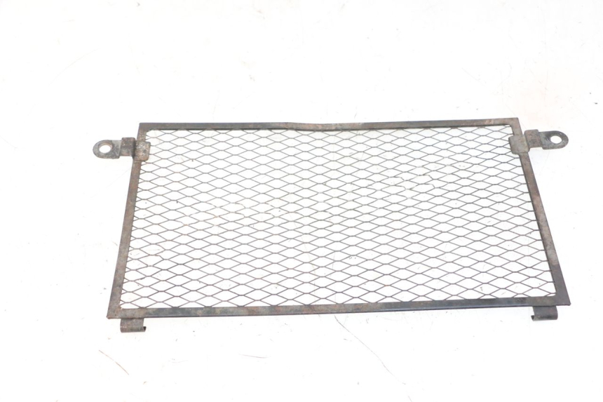 photo de REJILLA DEL RADIADOR YAMAHA TDM ABS 900 (2002 - 2014)