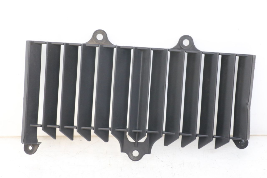 photo de REJILLA DEL RADIADOR YAMAHA XT X 660 (2004 - 2016)
