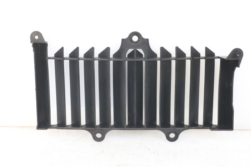 photo de REJILLA DEL RADIADOR YAMAHA XT X 660 (2004 - 2016)