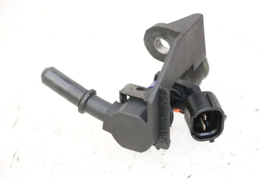 photo de INYECTOR PEUGEOT SATELIS 125 (2010 - 2012)