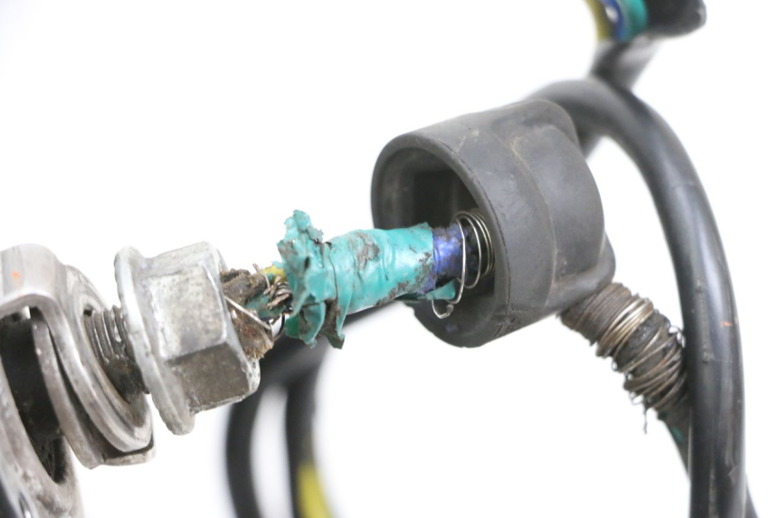 photo de RINCON Y NEUMÁTICO TRASERO DUALTRON VICTOR LIMITED 1