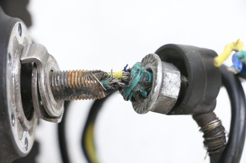 photo de RINCON Y NEUMÁTICO TRASERO DUALTRON VICTOR LIMITED 1