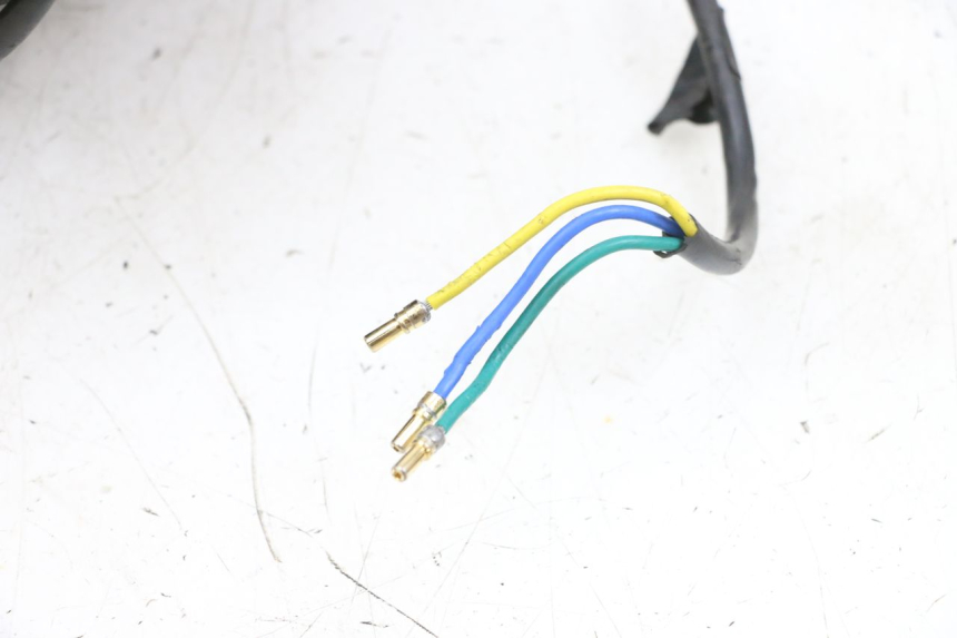 photo de RINCON DELANTERO Y NEUMÁTICO DUALTRON VICTOR LIMITED 1