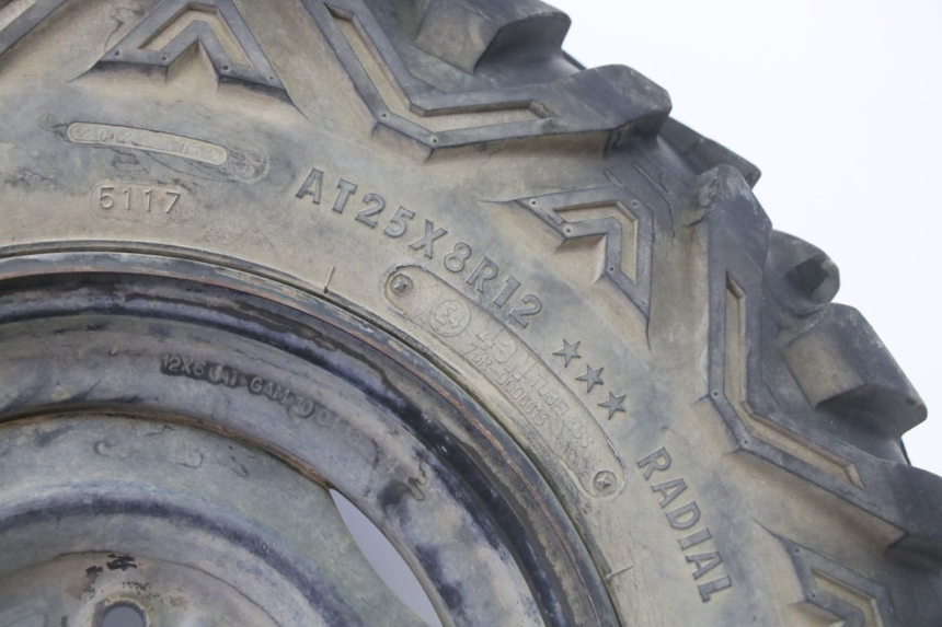 photo de LLANTA DELANTERA Y NEUMÁTICO YAMAHA YFM GRIZZLY 550 (2008 - 2015)