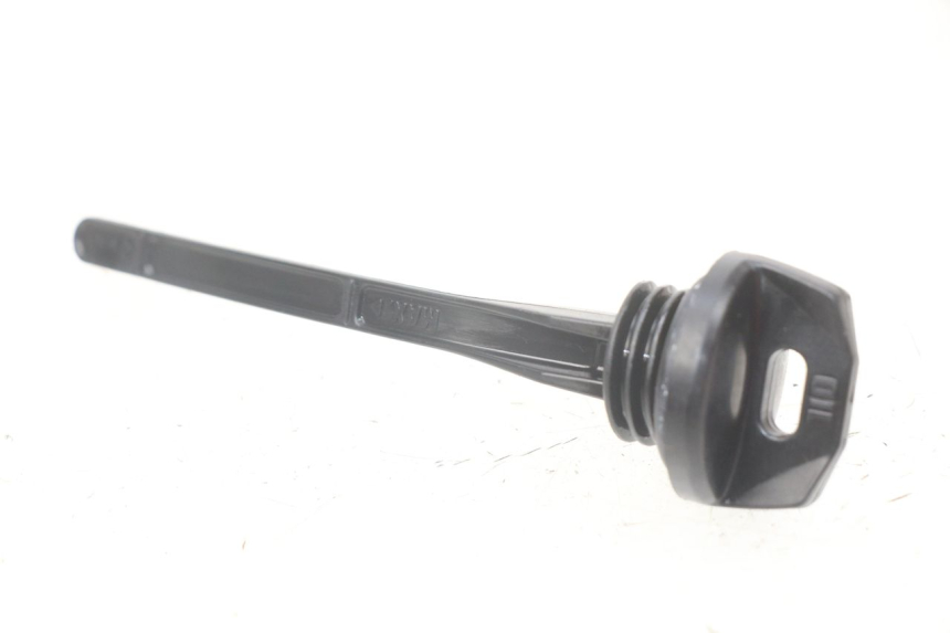 photo de NIVEL ACEITE MOTOR BMW F GS K81 850 (2018 - 2023)
