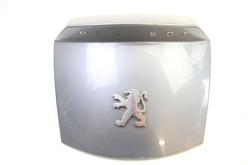 photo de CARENADO TRASERO CONEXION PEUGEOT SATELIS 250 (2006 - 2012)