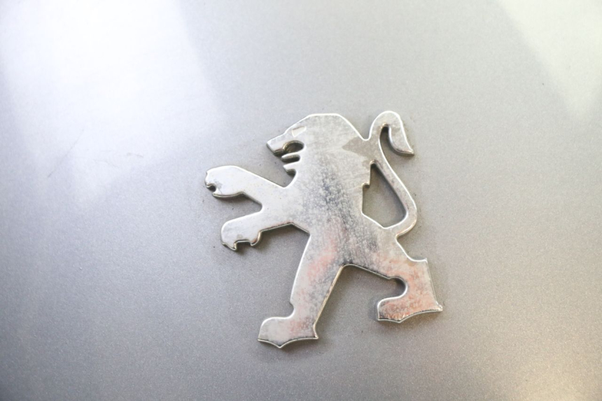photo de CARENADO TRASERO CONEXION PEUGEOT SATELIS 250 (2006 - 2012)