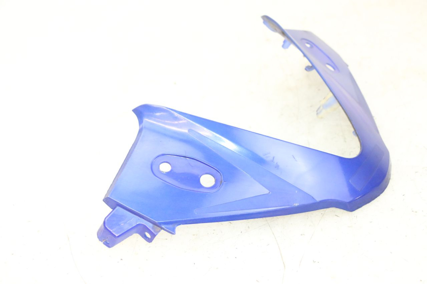 photo de CARENADO FRONTAL CONEXION STAHO FH 50 (2018 - 2019)