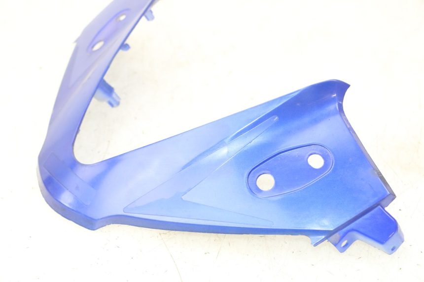 photo de CARENADO FRONTAL CONEXION STAHO FH 50 (2018 - 2019)