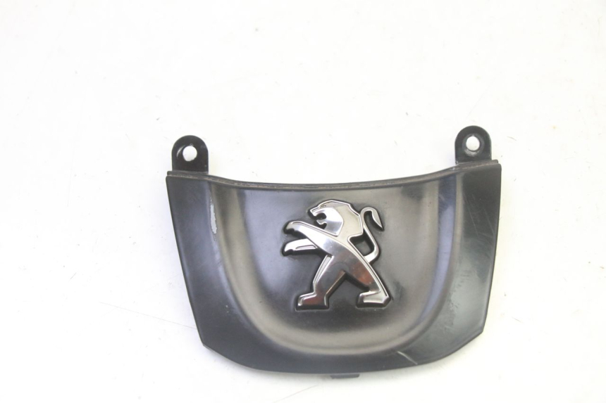 photo de CARENADO DELANTERO CONEXION PEUGEOT TWEET 4T 50 (2018 - 2020)