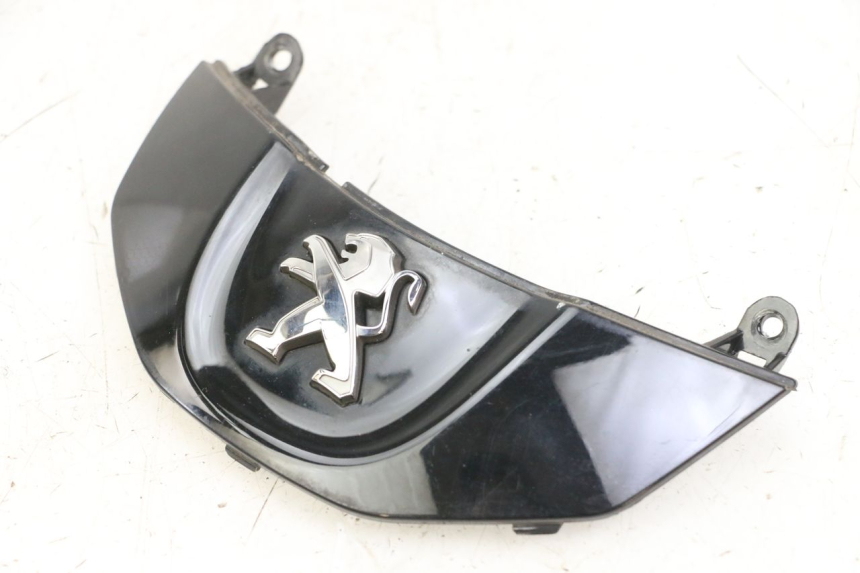 photo de CARENADO DELANTERO CONEXION PEUGEOT TWEET PRO CARGO 50 (2018 - 2020) - Otra perspectiva