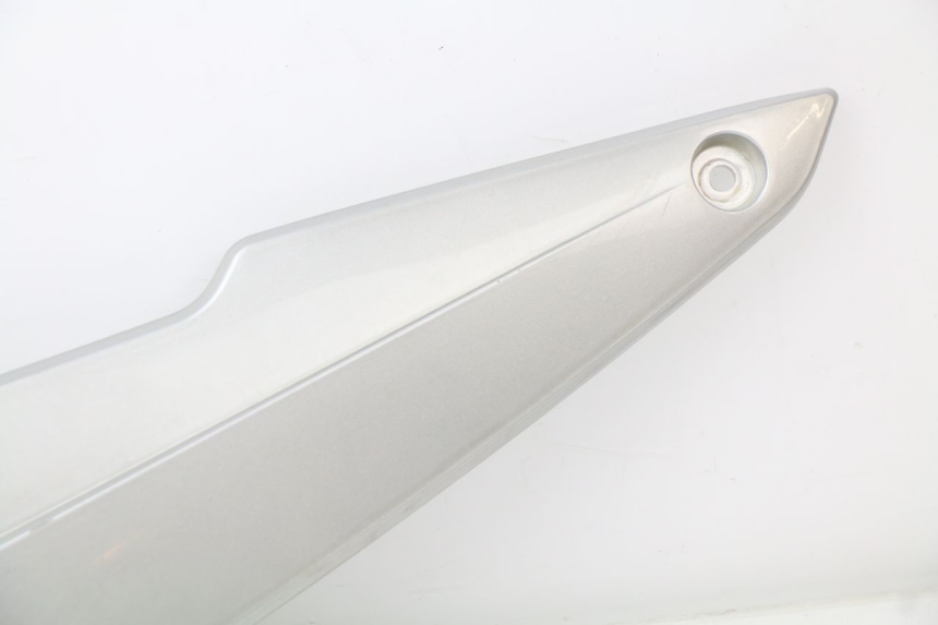 photo de TAPA REPOSAPIES CONEXION IZQUIERDA RAZZO STEED 125 (2012 - 2018)