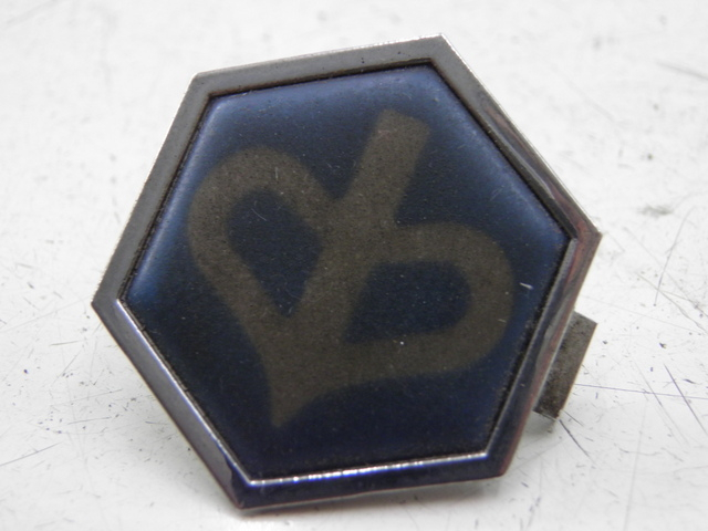 photo de LOGOTIPO DE LA MARCA PIAGGIO X9 EVOLUTION 125 (2003 - 2007)