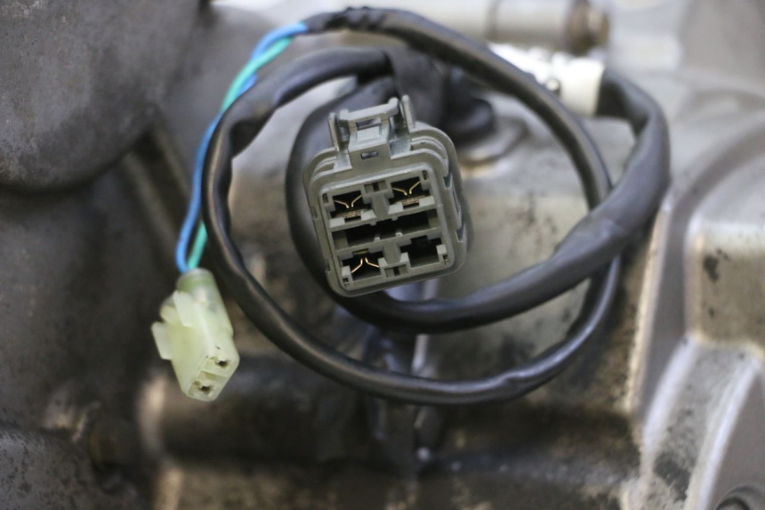 photo de MOTOR QUADRO 4 4D 350 (2015 - 2018)