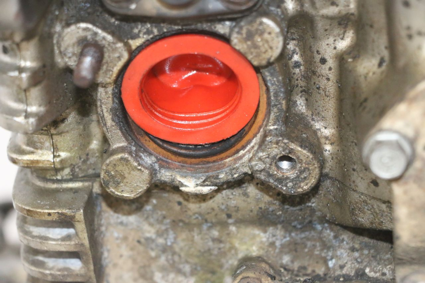 photo de MOTOR HONDA CBF 500 (2004 - 2007)