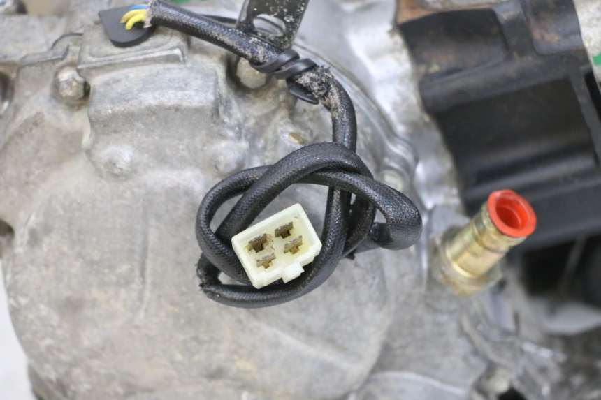 photo de MOTOR PEUGEOT ELYSEO 125 (1999 - 2004) - Recambio usado revisado