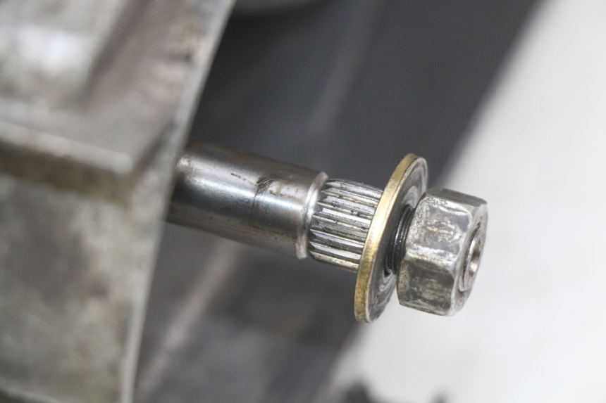 photo de MOTOR HONDA FES PANTHEON 125 (2003 - 2007) - Primer plano de alta resolución