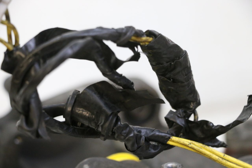 photo de MOTOR HONDA FES S-WING SWING ABS 125 (2007 - 2015)