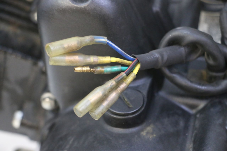 photo de MOTOR STAHO FH 50 (2018 - 2019)