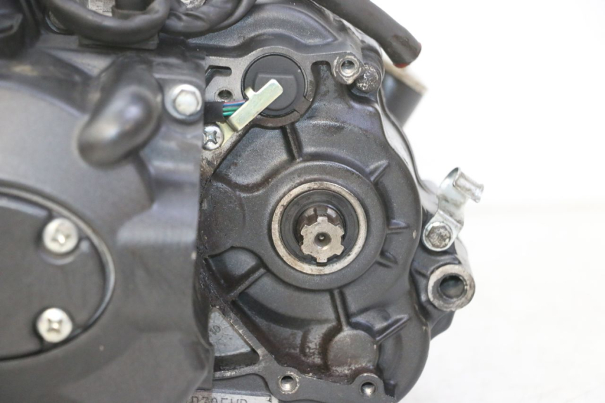 photo de MOTOR STAHO FH 50 (2018 - 2019)