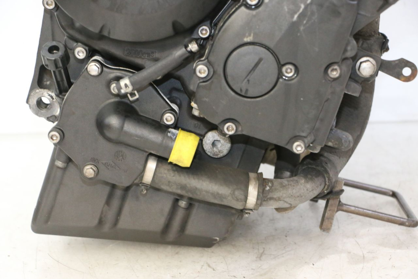 photo de MOTOR YAMAHA FZ6 FAZER S2 600 (2007 - 2011)