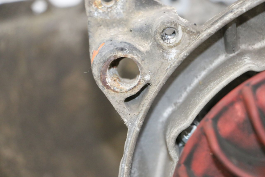 photo de MOTOR PIAGGIO LIBERTY 4T 50 (2009 - 2015)