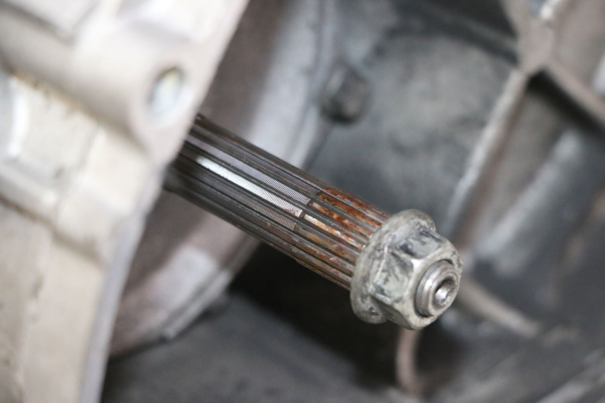 photo de MOTOR PIAGGIO LIBERTY 4T 50 (2009 - 2015)