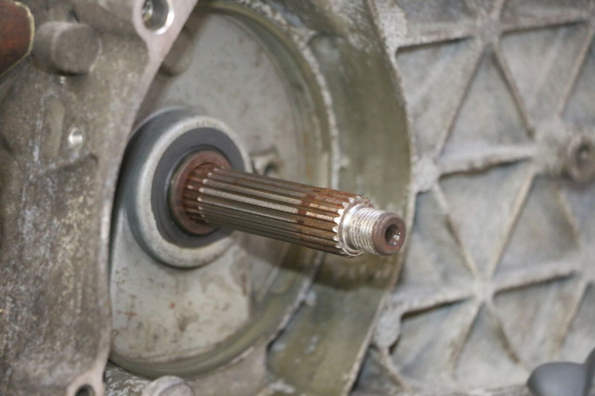 photo de MOTOR PIAGGIO LIBERTY 125 (1998 - 2008)