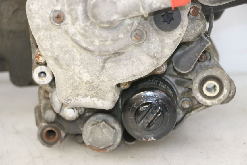 photo de MOTOR PIAGGIO MP3 RL 250 (2007 - 2010)